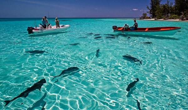 Где отдохнуть на Сейшелах?